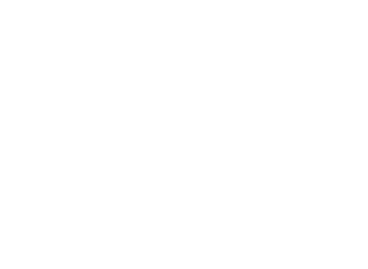 Opción ZEN Distribuidores