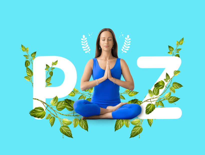 Slider - ZEN Distribuidores